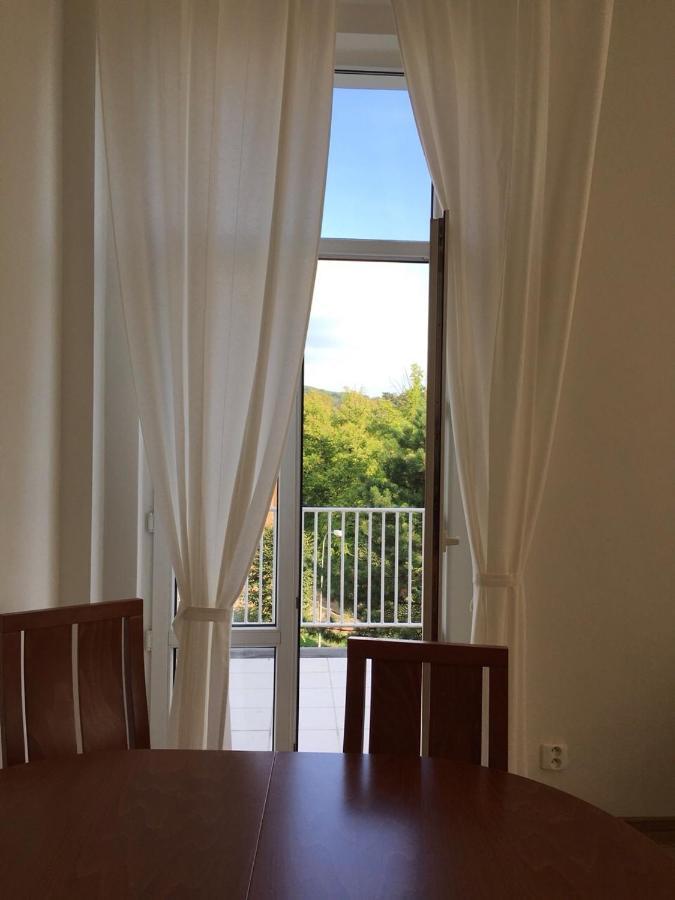 Mva House Teplice, Sanovsky Park Aparthotel Bagian luar foto